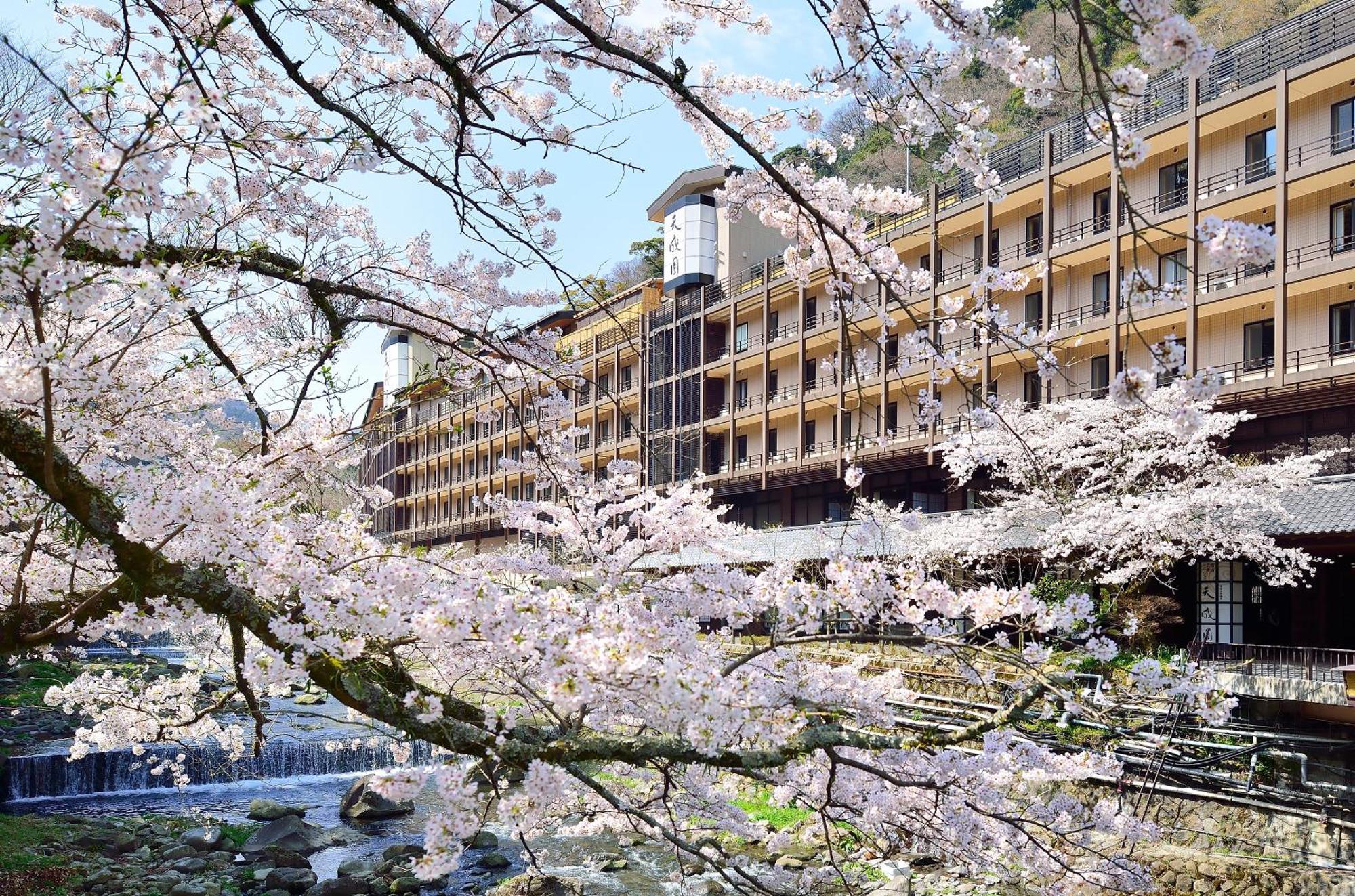 Tenseien Hakone Ngoại thất bức ảnh